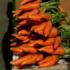 Морковь для здоровья и красоты