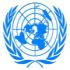 Приоритеты генсека ООН в 2010 году