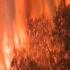Продолжающиеся лесные пожары в РФ