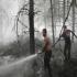 В России сгорели десятки тысяч гектаров леса