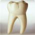 Кто выдёргивал зубы до появления стоматологов?