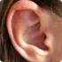 Какую функцию помимо слуха выполняют уши?