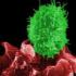 Генную терапию ВИЧ-инфекции признали безопасной