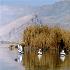Озеро Паришан в провинции Фарс