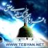 Посланническая миссия святого пророка ислама с точки зрения Али (мир ему!)