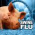 На Украине подтверждены 466 случаев свиного гриппа A/H1N1