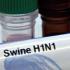 Как защититься от свиного гриппа: симптомы, профилактика и лечение свиного гриппа 1