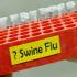Как защититься от свиного гриппа: симптомы, профилактика и лечение свиного гриппа 3