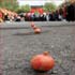 Фестиваль в Иране под названием Гранат - красный рубин из Рая