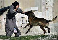 Filistinli Kadına Siyonist Köpeklerin İşkencesi