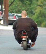 موتور : له شدم از دست تو چاقالو!