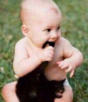 خوبه؟ خوب شد ؟ حالت جا اومد گربه سیاهه !