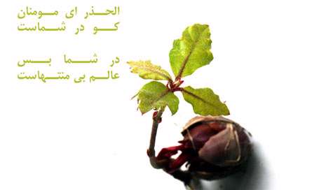 بس عالم بي منتها