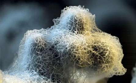 نانوفوم(nanofoam)