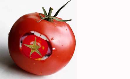 گوجه فرنگي در گوجه فرنگي