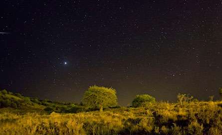 درخت، مشتري و شهاب