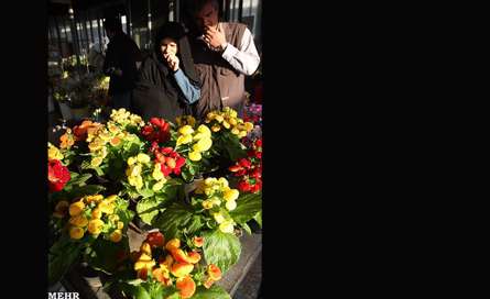 بهار در بازار گل تهران