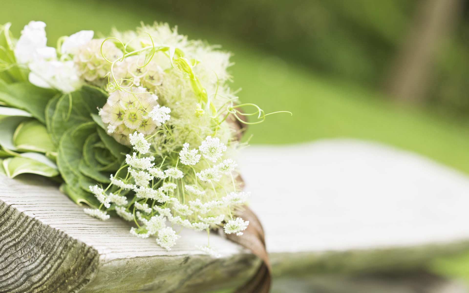عکس انواع مدل دسته گل عروس