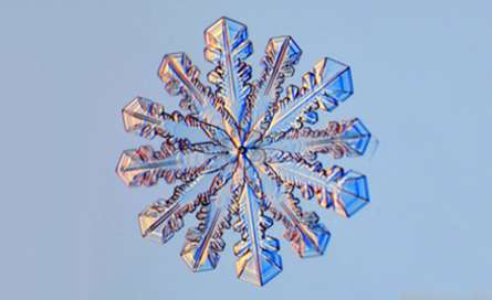نمای میکروسکوپی بلورهای برف