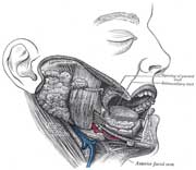 علت خشكی دهان چیست