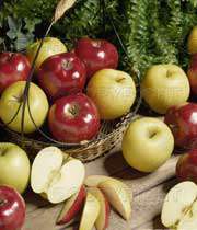 خواص معجزه آسای سیب (1)