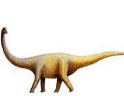  Dinosaur 