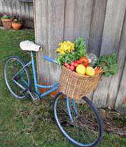 دوچرخه ای با سبزیجات