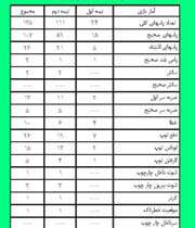 عملکرد ایران در دیدار برابر مکزیک 