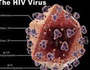 HIV Infection 