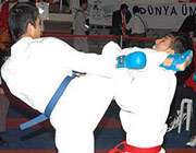 کاراته ایران 
