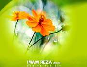 Imam Reza (A.S.)