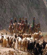 سیمای عشایر استان خوزستان