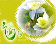 prophet   muhammad al mustafa  hazrate mohammad  last prophet