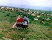 Townships, Golestan