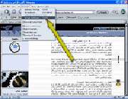 كار با Netscape Navigator 