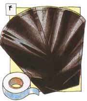مار سیاه