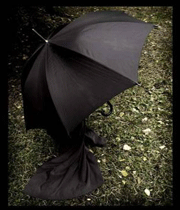 چتر امنیت