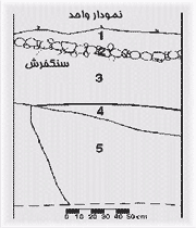 قدم به قدم با باستان شناسان