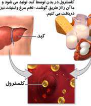 کبد و مواد غذایی