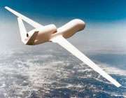 global hawk