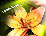 imam reza(as)