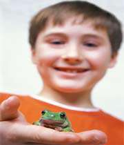 boy-frog