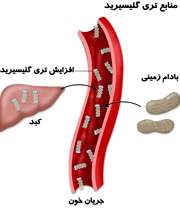 منابع تري گليسريد