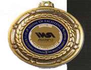 wsa