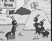 ant