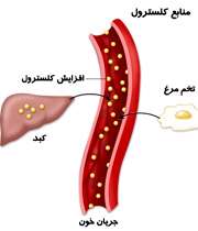 منابع کلسترول