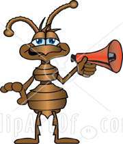 ant