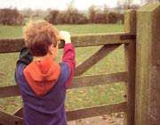 قوانین کشوری