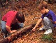 قوانین کشوری