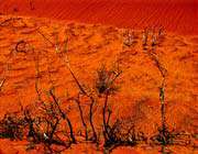 tabas desert